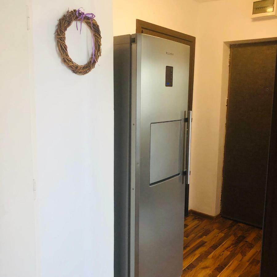 Little Cute Homey Apartman Satu Mare Eksteriør billede