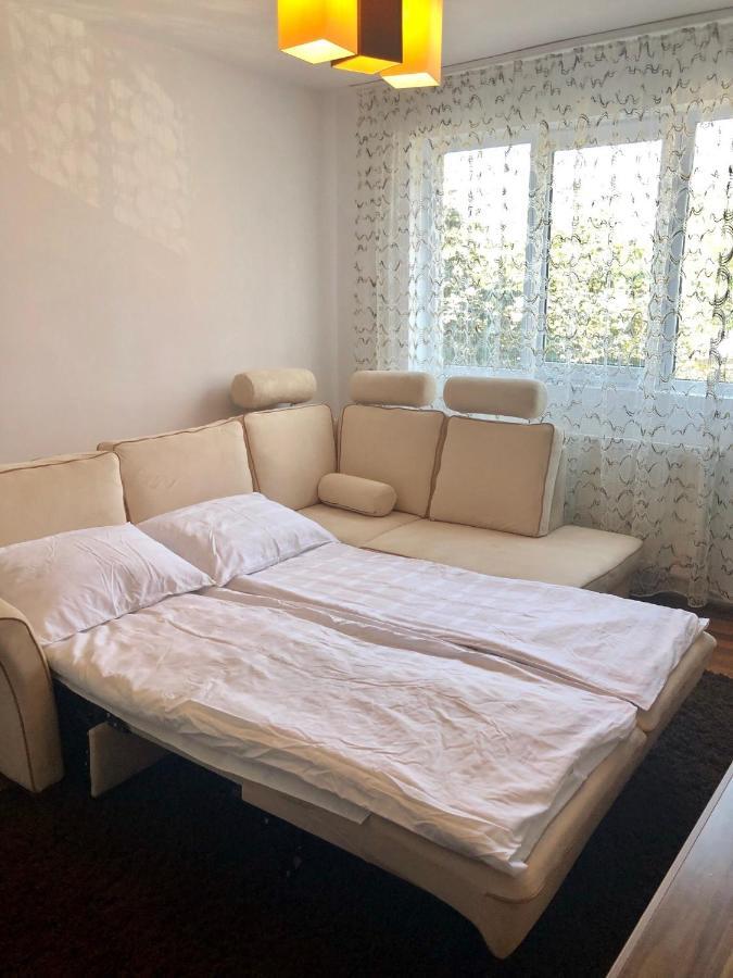 Little Cute Homey Apartman Satu Mare Eksteriør billede